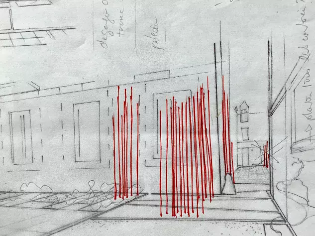 Projet_Cornus_10 cor