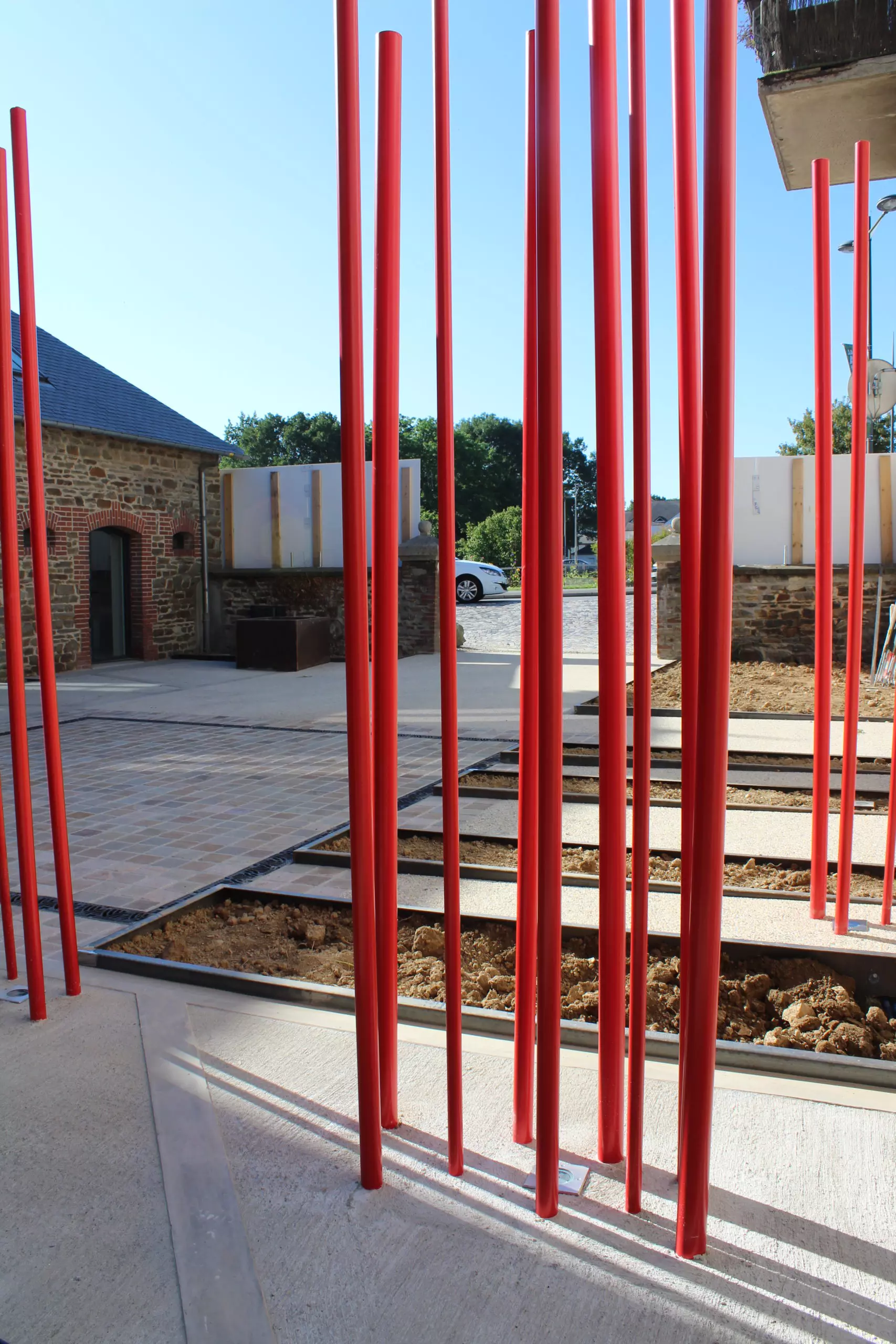 Projet_Cornus_22 cornIMG_7617